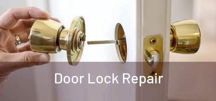  Door Lock Repair 